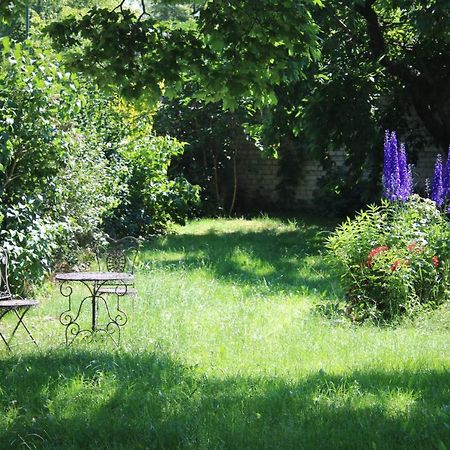 Ferienwohnung Am Weltnaturerbe Grumsin Ziehten Zewnętrze zdjęcie